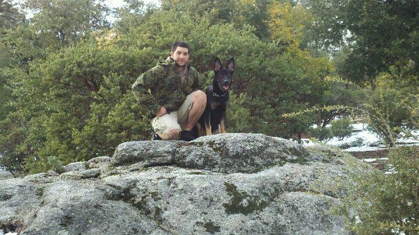 A gsd puppy loved by his new owner