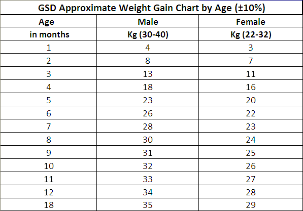 Gsd Weight Chart