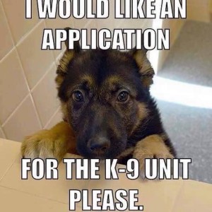 pup applying